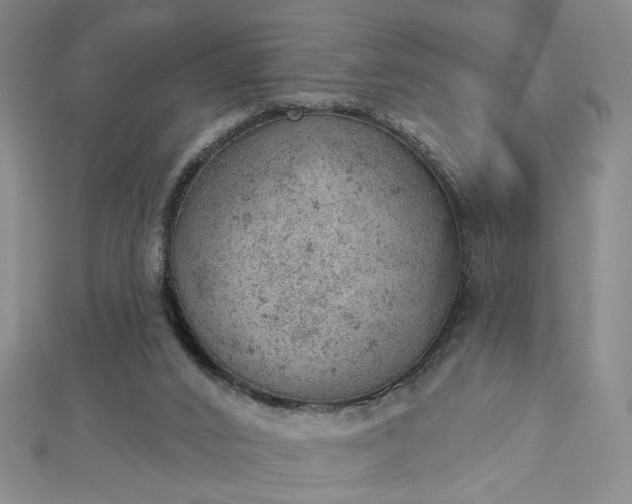 X0000112780016200908271713