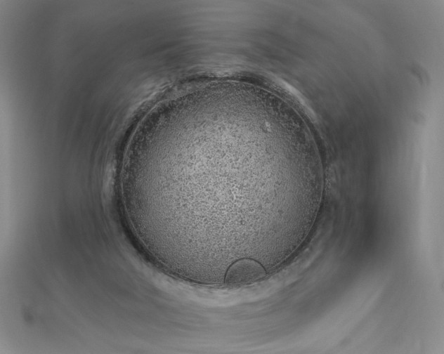 X0000112780018200908271713