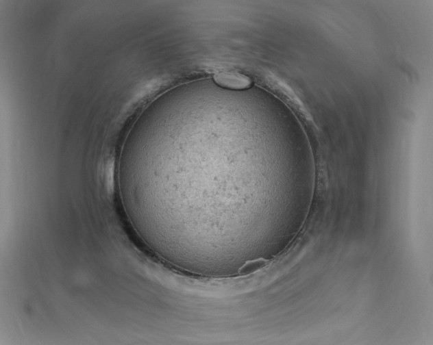 X0000112780019200908271713