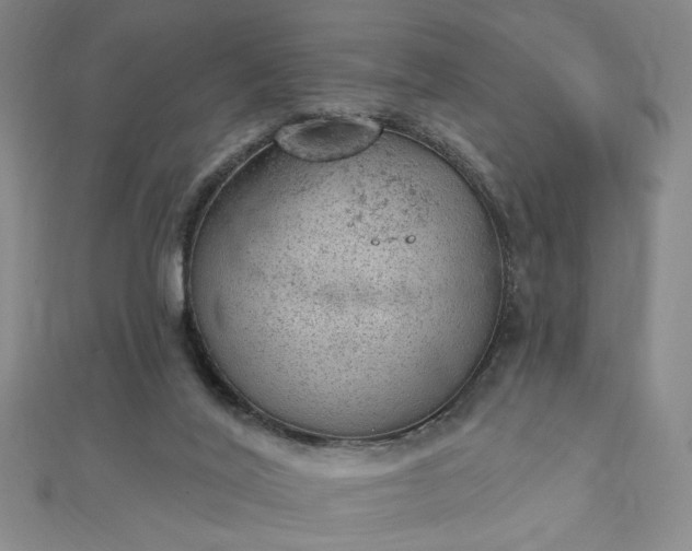 X0000112780020200908271713