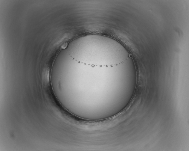 X0000112780021200908271713