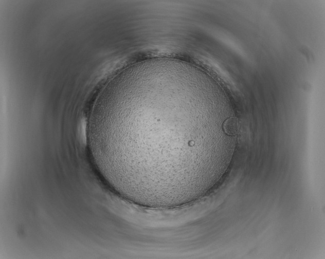 X0000112780022200908271713