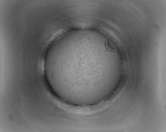 X0000112780024200908271713