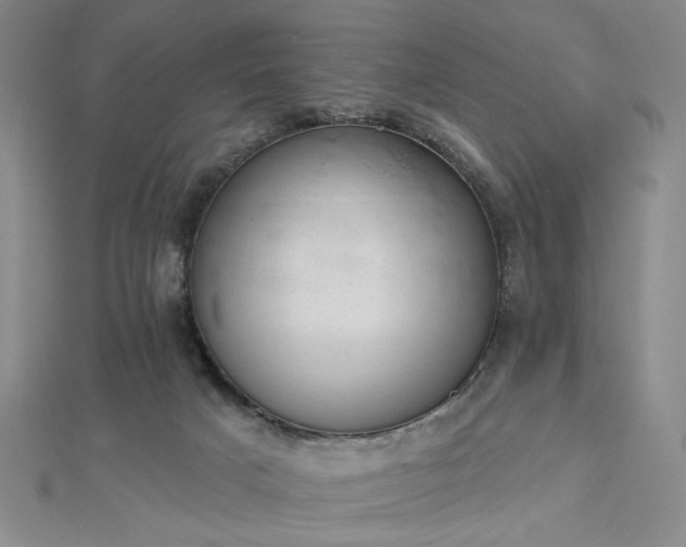 X0000112780025200908271713