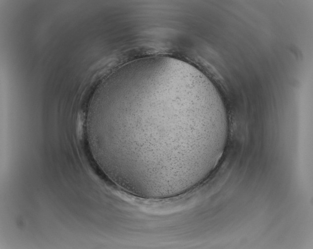 X0000112780026200908271713