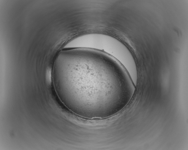 X0000112780027200908271713