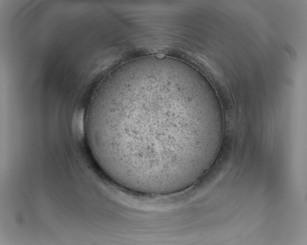 X0000112780028200908271713