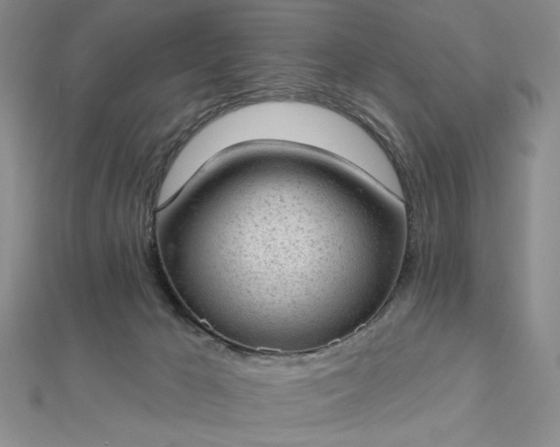 X0000112780029200908271713