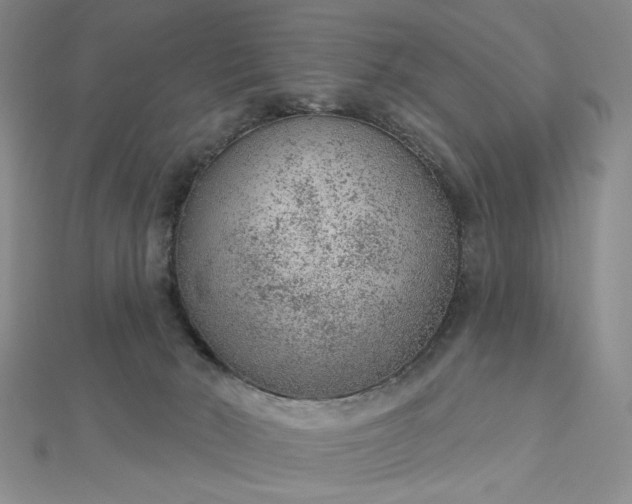 X0000112780030200908271713