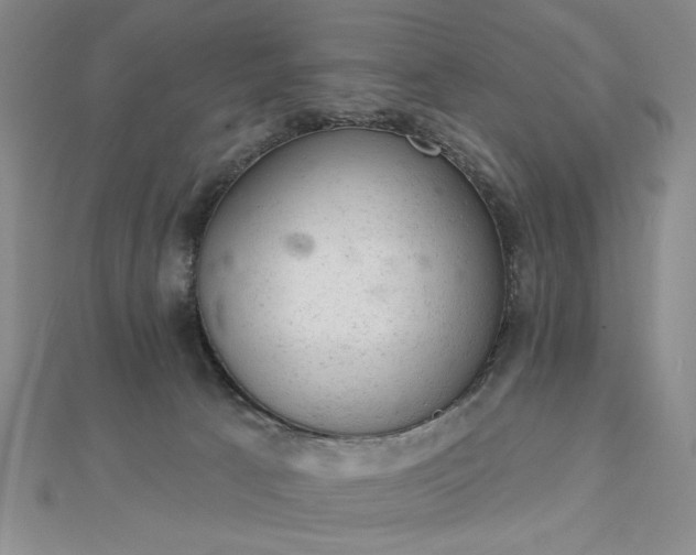 X0000112780033200908271713