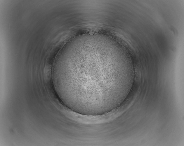 X0000112780034200908271713