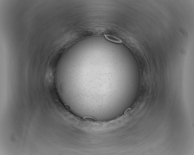 X0000112780037200908271713