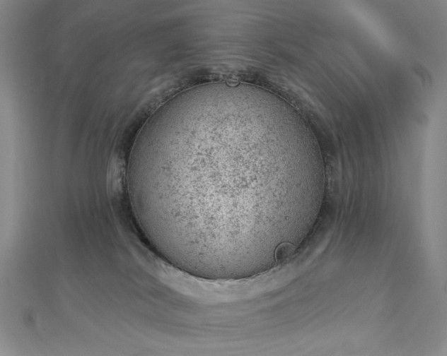 X0000112780038200908271713