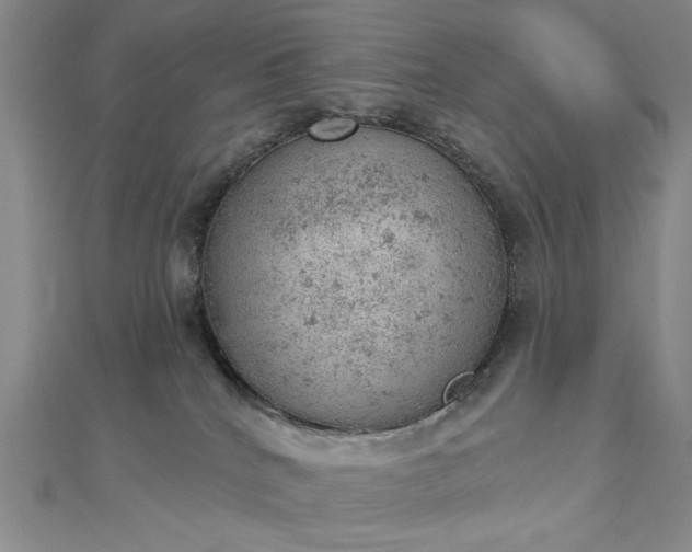 X0000112780040200908271713