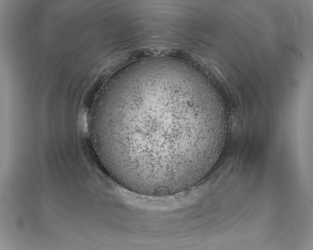 X0000112780042200908271713