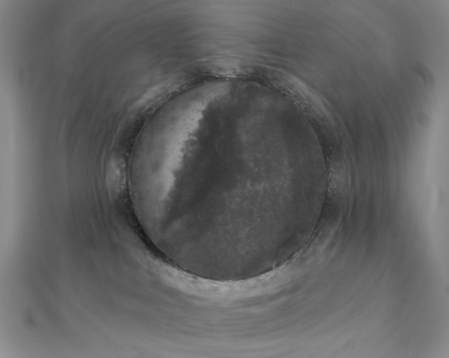 X0000112780043200908271713