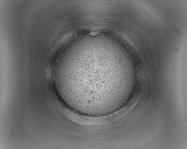 X0000112780044200908271713