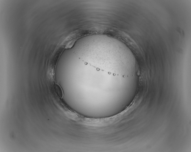 X0000112780045200908271713