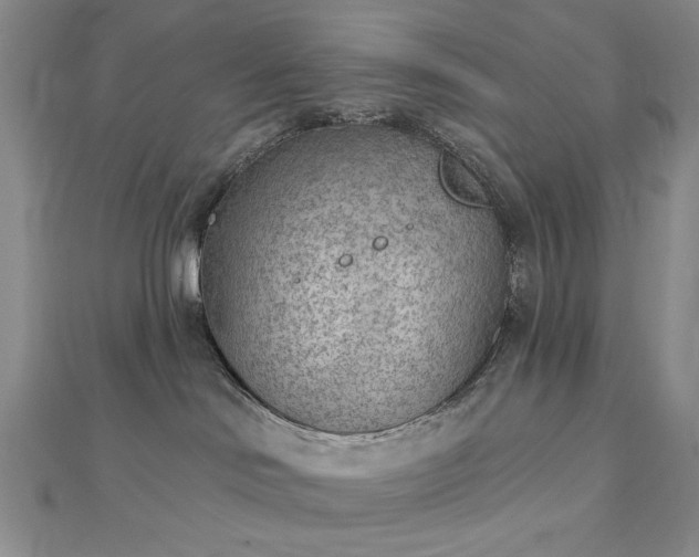 X0000112780046200908271713