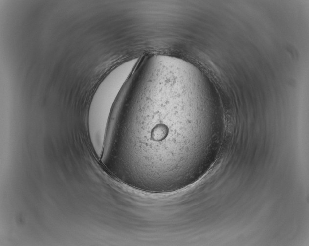 X0000112780047200908271713