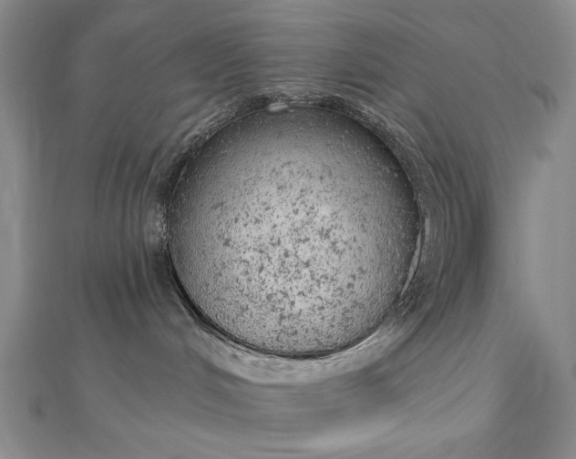 X0000112780048200908271713