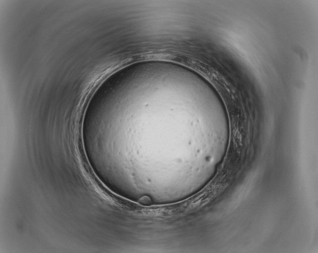 X0000112780049200908271712