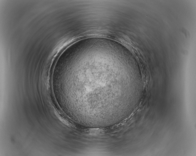 X0000112780050200908271712