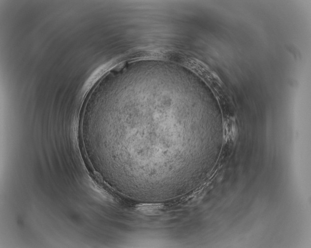 X0000112780051200908271712