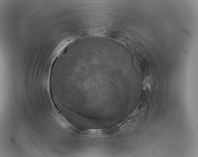 X0000112780052200908271712