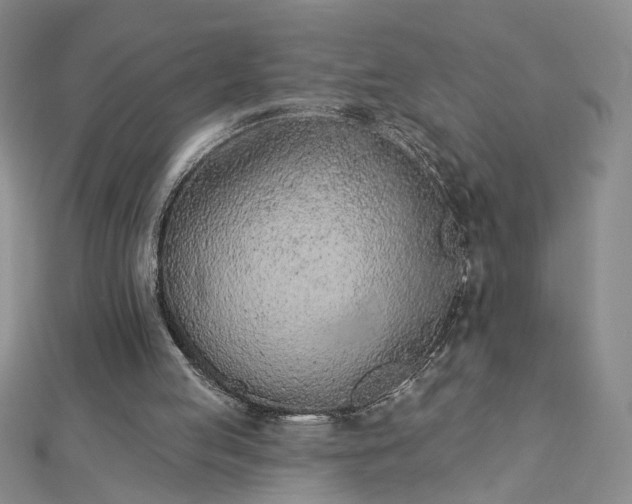 X0000112780053200908271712