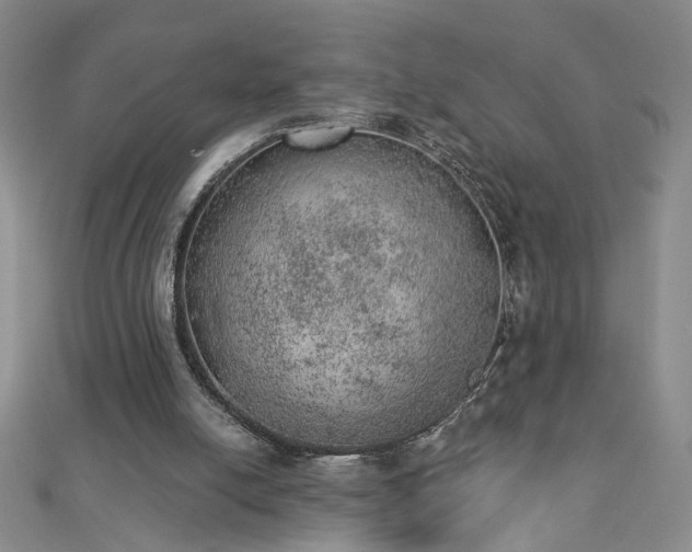 X0000112780054200908271712