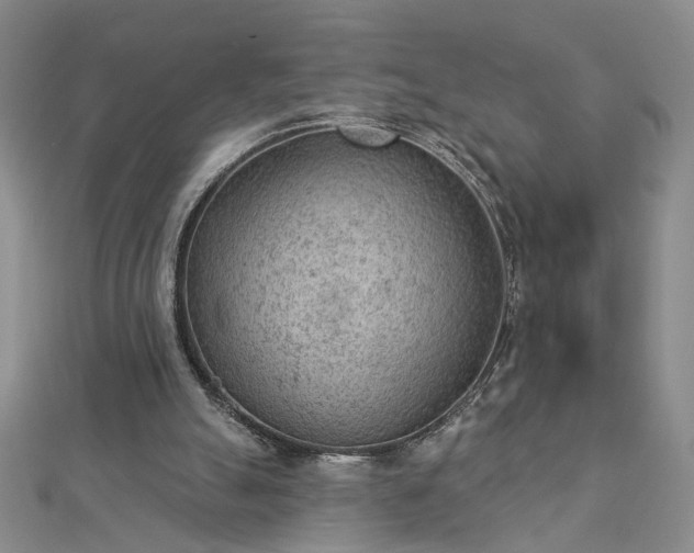 X0000112780055200908271712