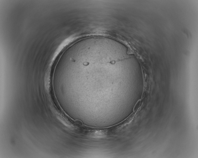 X0000112780056200908271712