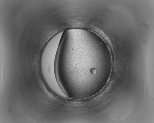 X0000112780057200908271712