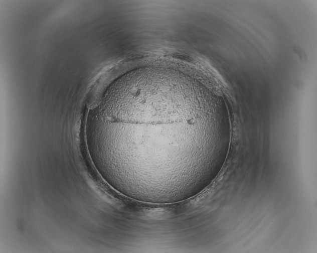 X0000112780058200908271712