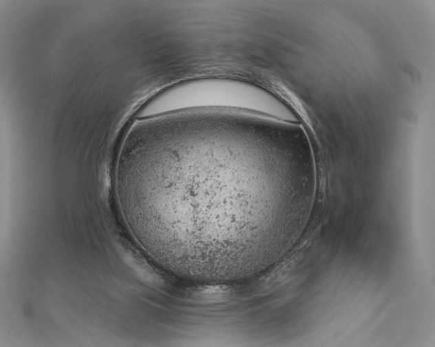 X0000112780059200908271712