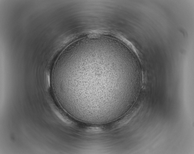 X0000112780061200908271712