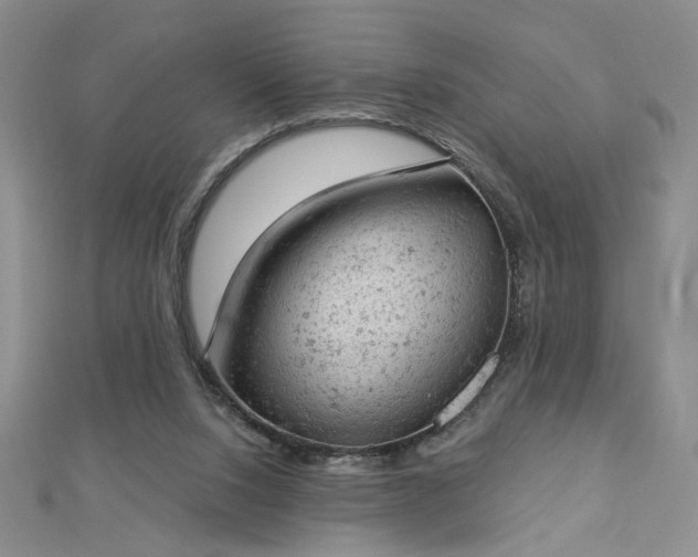 X0000112780064200908271712