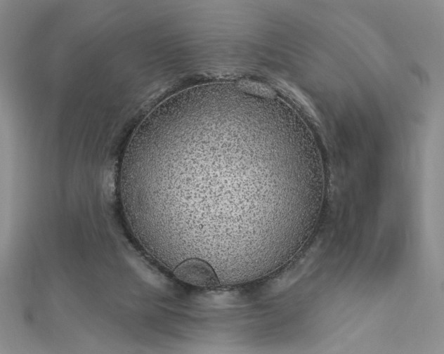 X0000112780065200908271712