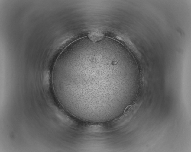 X0000112780066200908271712