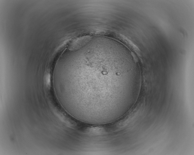 X0000112780067200908271712