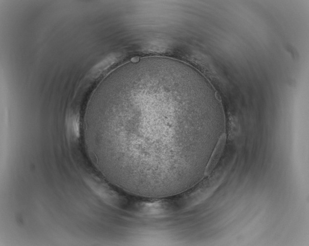 X0000112780068200908271712