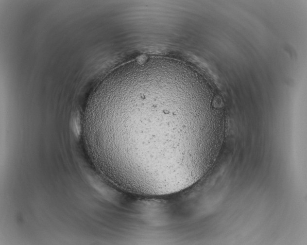 X0000112780069200908271712