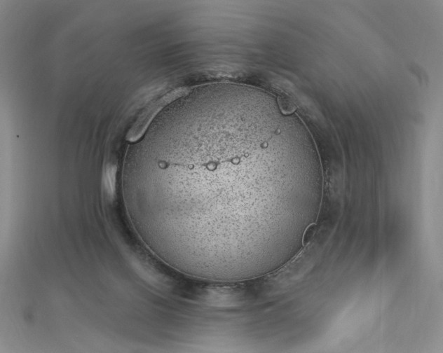 X0000112780070200908271712