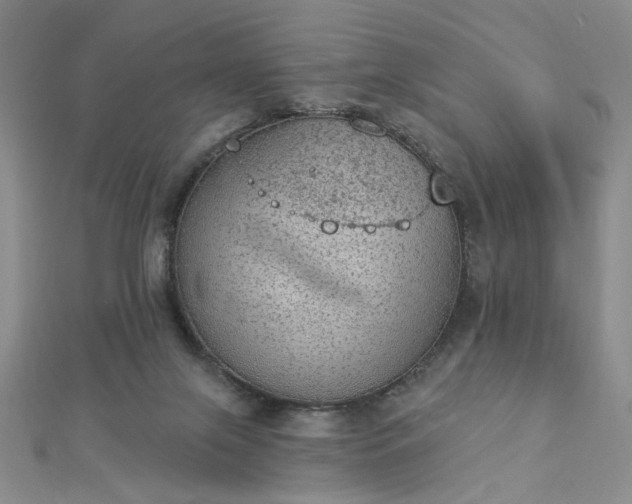 X0000112780071200908271712