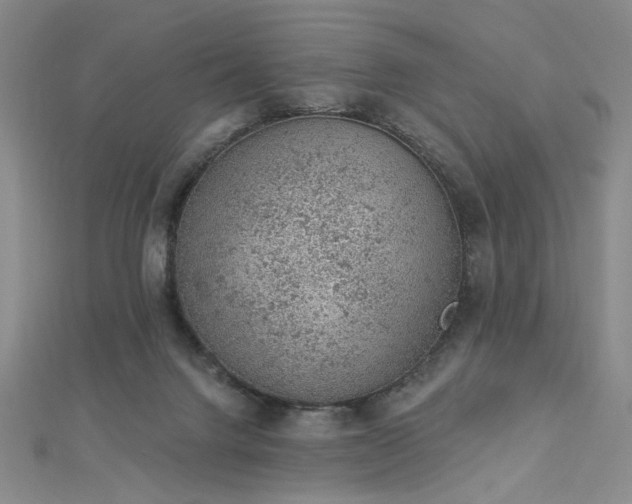 X0000112780072200908271712