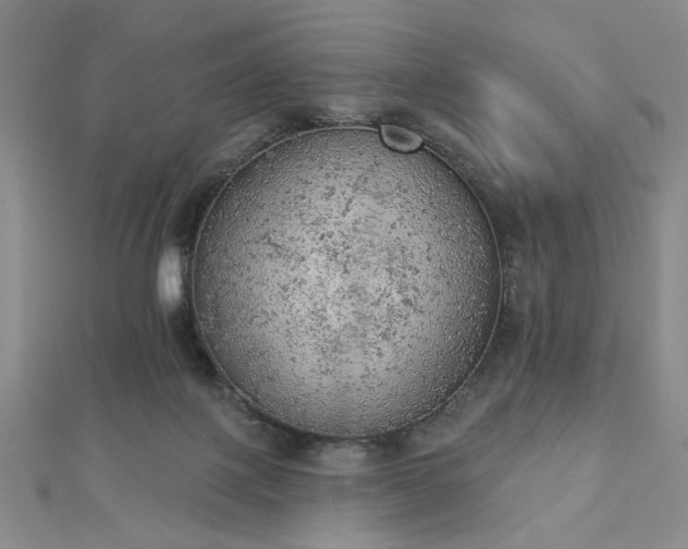 X0000112780075200908271712