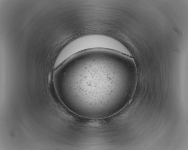 X0000112780076200908271712