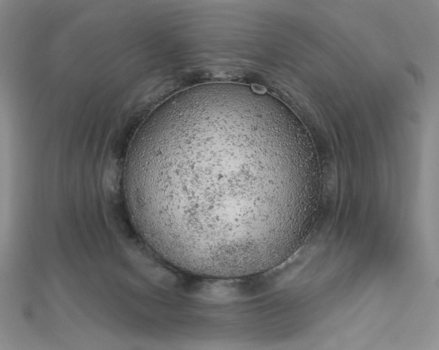 X0000112780078200908271712