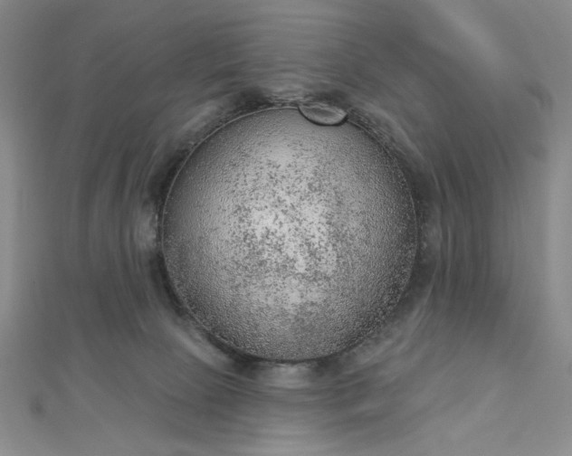 X0000112780081200908271712